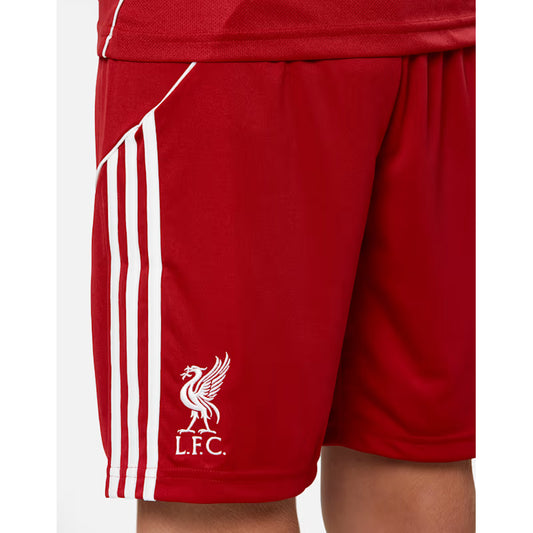 شورت ليفربول الاساسي نسخه مشجع 26